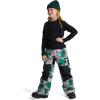 Burton Kids’ Skylar Pants(Explode)
