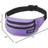 Dakine Classic Hip Pack(Violet)