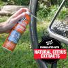 Finish Line Citrus Degreaser Bicycle Degreaser(12 oz Aerosol)
