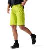 Backcountry, Empire 11.5in Bike Short – Women’s(Lime Punch)