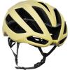 KASK Protone Icon Bike Helmet I Aerodynamic Road Cycling, Mountain Biking & Cyclocross Helmet(Celestial Yellow Matt)