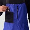 Backcountry, Cottonwoods GORE-TEX Shell Bib Pant – Men’s(Royal Blue)
