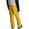 Burton Men’s Cargo 2L Pants(Yellow)