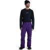 Burton Men’s Covert 2.0 2L Insulated Pants(Imperial Purple)