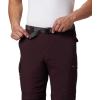 Columbia Men’s Silver Ridge Convertible Pant(Dark Merlot)