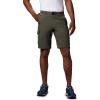 Columbia Men’s Silver Ridge Convertible Pant(Peat Moss)