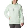 Columbia Men’s Trek Hoodie(Ice Green/Csc Branded Logo)
