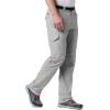 Columbia Sportswear Silver Ridge Cargo Pant(Columbia Grey)