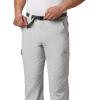 Columbia Sportswear Silver Ridge Cargo Pant(Cool Grey)