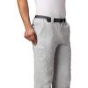 Columbia Sportswear Silver Ridge Cargo Pant(Cool Grey)