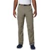 Columbia Sportswear Silver Ridge Cargo Pant(Cypress/Valencia)