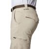 Columbia Sportswear Silver Ridge Cargo Pant(Fossil)