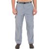 Columbia Sportswear Silver Ridge Cargo Pant(Grey Ash)