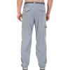 Columbia Sportswear Silver Ridge Cargo Pant(Grey Ash)