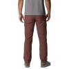 Columbia Sportswear Silver Ridge Cargo Pant(Light Raisin)