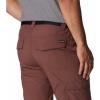 Columbia Sportswear Silver Ridge Cargo Pant(Light Raisin)