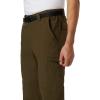 Columbia Sportswear Silver Ridge Cargo Pant(Olive Green)