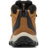 Columbia mens Newton Ridge Plus Wp(Elk/Black)
