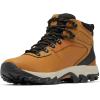 Columbia mens Newton Ridge Plus Wp(Elk/Black)