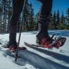 Crescent Moon All Terrian Unisex Snowshoe – Sawtooth 27: Unisex All Terrain Snowshoe with Award Winning Single Loop Pull Binding, Stainless Steel Crampons and Heel Lifts(Lollypop Blue)