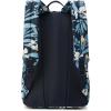 Dakine 365 Pack 21L(Okika)
