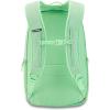 Dakine Campus M 25L – Carbon, One Size(Dusty Mint)