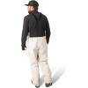 Flylow Men’s Baker Bib – Waterproof Breathable Ski & Snowboard Pants(Marble)