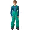 Helly-Hansen No Limits 2.0 Pant – Junior Unisex Waterproof Insulated Ski Pants for Kids, Breathable Snow Wear(466 Signal Green)