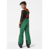 Helly-Hansen No Limits 2.0 Pant – Junior Unisex Waterproof Insulated Ski Pants for Kids, Breathable Snow Wear(486 Malachite)