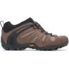 Merrell Men’s Chameleon 8 Stretch Hiking Shoe(Earth)