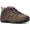 Merrell Men’s Chameleon 8 Stretch Hiking Shoe(Earth/Granite)