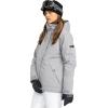 Roxy womens Billie Jacket – 10k Waterproof Snow Jacket, Tailored Fit, Pfas-free, Insulated(Grey)