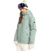 Roxy womens Billie Jacket – 10k Waterproof Snow Jacket, Tailored Fit, Pfas-free, Insulated(Lily Pad)