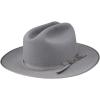 Stetson Men’s Royal Deluxe Open Road(Stardust)
