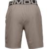 Under Armour Men’s Vanish Woven Shorts(Highland Buff (200)/Black)