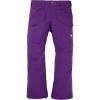 Burton Men’s Covert 2.0 2L Insulated Pants(Imperial Purple)