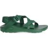 Chaco Mens Z/1 Classic, Outdoor Sandal(Pastures)
