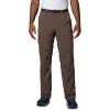 Columbia Sportswear Silver Ridge Cargo Pant(Brown)