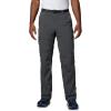 Columbia Sportswear Silver Ridge Cargo Pant(Grill)