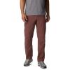 Columbia Sportswear Silver Ridge Cargo Pant(Light Raisin)