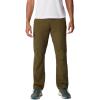 Columbia Sportswear Silver Ridge Cargo Pant(New Olive)