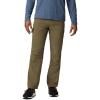 Columbia Sportswear Silver Ridge Cargo Pant(Stone Green)