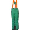 Helly-Hansen No Limits 2.0 Pant – Junior Unisex Waterproof Insulated Ski Pants for Kids, Breathable Snow Wear(486 Malachite)