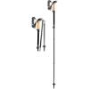 LEKI Black Series FX Carbon Collapsible Lightweight Walking Poles for Trekking & Hiking(Black-Carbon)
