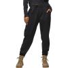 prAna Womens Stretch Zion E-Waist Jogger(Shadow)