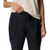 Columbia Womens Pouring Adventure Iii Pant(Black)