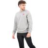 Fjällräven unisex-adult 1960 Logo Badge Sweater(Grey/Melange)