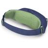 Osprey Daylite Waist Pack(Blue Spikemass/Alkaline)