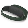 Osprey Daylite Waist Pack(Green Belt/areen Canopy)