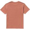 RVCA Men’s Balance Box Short Sleeve Tee(Burn Notice | Dusty Red)